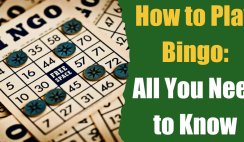 How to Play Bingo Blitz? 2024